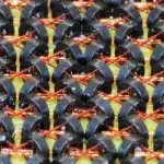 Logo of FerriteCore ((Neo)Forge) mod for Minecraft