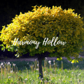 Logo of Harmony Hollow Season 3 modpack for Minecraft