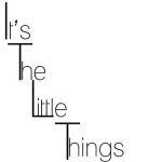 Logo of It’s the little things mod for Minecraft