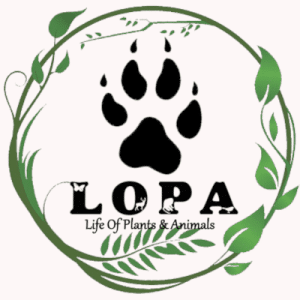 Logo of LOPA  – Life of Plants & Animals modpack for Minecraft