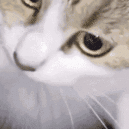 Logo of ProbeJS mod for Minecraft