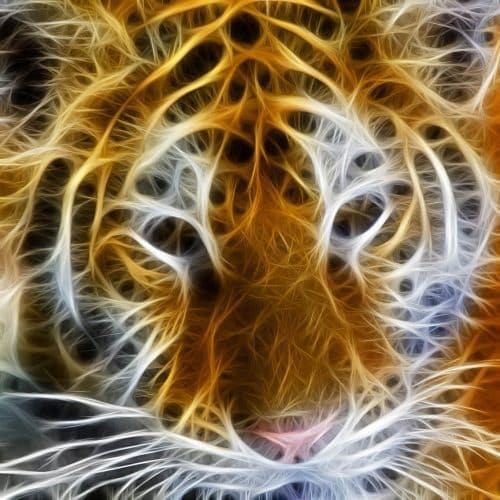 Quantastic reviews - Modded Minecraft Reviews