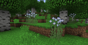 As you can see, custom tallgrass, flowers...