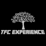 Logo of TerraFirmaCraft Experience modpack for Minecraft