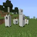 Logo of The Battle Cats Mod mod for Minecraft