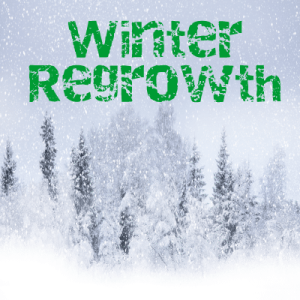 Logo of Winter Regrowth modpack for Minecraft